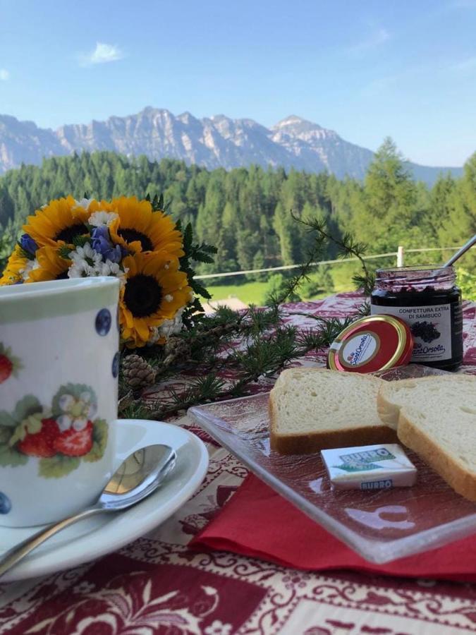 Rifugio Caltena Фиера ди Примиеро Екстериор снимка