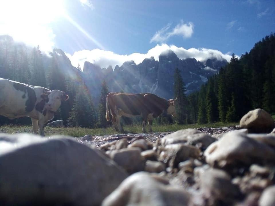 Rifugio Caltena Фиера ди Примиеро Екстериор снимка